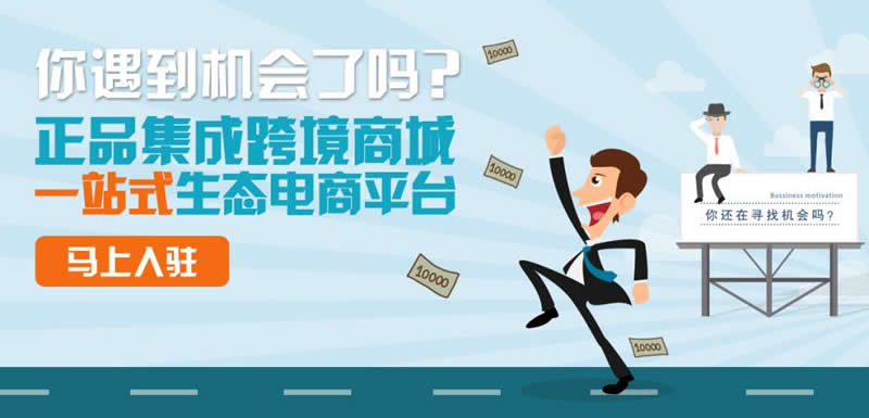 電商平臺(tái)運(yùn)營 電商平臺(tái)運(yùn)營